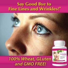 Phytoceramides Ceramide Skin Care Hydration Anti Aging Wrinkle Support Supplement -unisex 30 Capsules-350mg