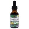 Gymnema Leaf Extract AF - 1000mg by Natures Answer for Unisex - 1 oz Dietary Supplement - Unisex - 1