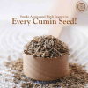 Pride of India | Cumin Seed Whole 1.8 oz (51.02 gm) - 2 oz