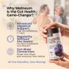 High Prebiotic Fiber Gummies for Women and Men Beet FOS Fiber Probiotic Gummy Supplement for Digestive Health
