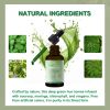 WINYEL Soursop Drops 10-in-1 with seaweed, moringa, black seed oil, oregano, ashwagandha, chlorophyll | Vegan | 2 fl oz - 1PCS