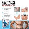 Ximonth Care Patch, Ease Back And Discomfort Lock Yang Kidney th Care Patch - 1pc