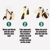 Eelhoe Ginger Hair Essential Oil. Eelhoe Ginger Hair Essential Oil - 1pc