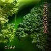Broccoli Sprout Extract Capsules Premium Sulforaphane Antioxidant  Supplement Broccoli Pills