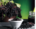 Elderberry Supplement