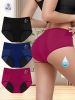 Quick Dry Postpartum Women's Underwear Briefs Breathable Reusable Period Panties 4 Pack Sets - L