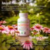 Womens Multivitamin Mineral Complex with Plant Based Extracts Hair Skin and Nails Vitamins
